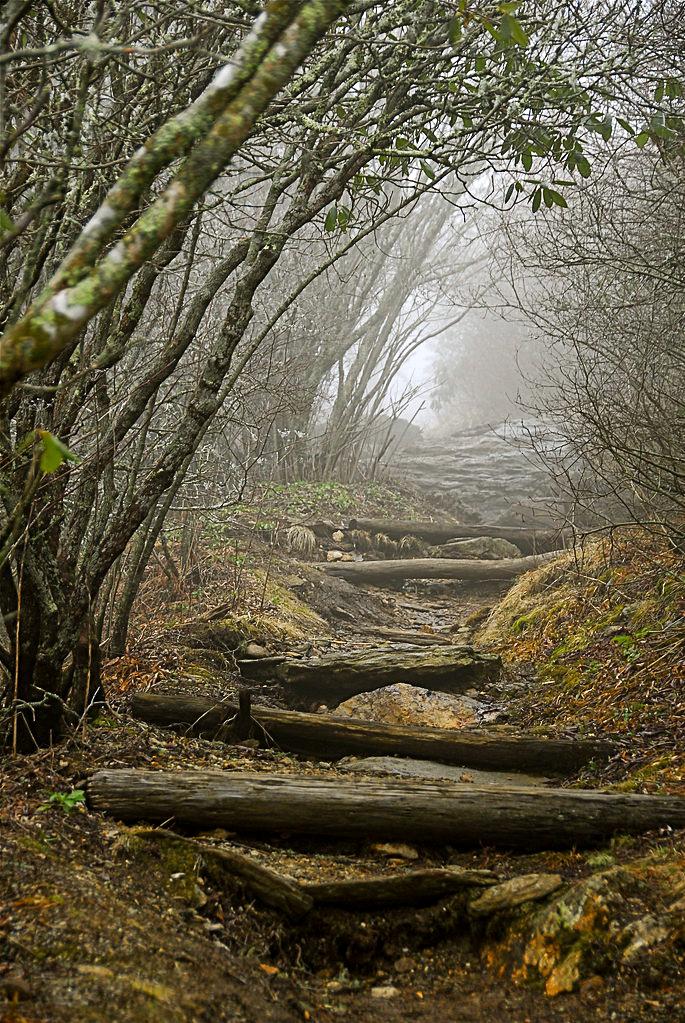 Psychological & Neuropsychological Evaluations